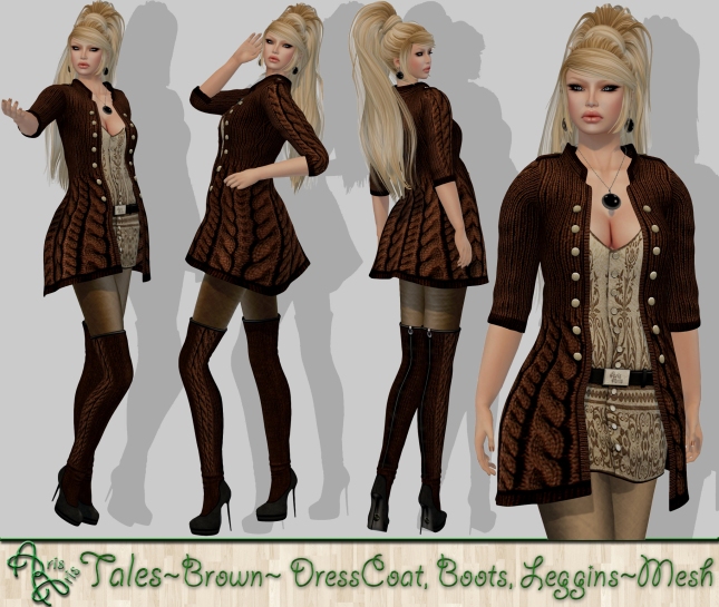 ***Arisaris AA12 Tales Outfit Pic Brown